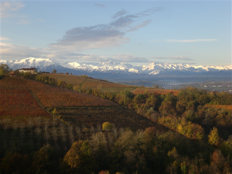 Vigneti Gorrea 3
