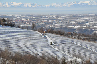 panorama con la neve