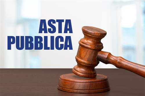 Alienazione mediante asta pubblica di autovettura fiat punto (TARGA CD234AL)